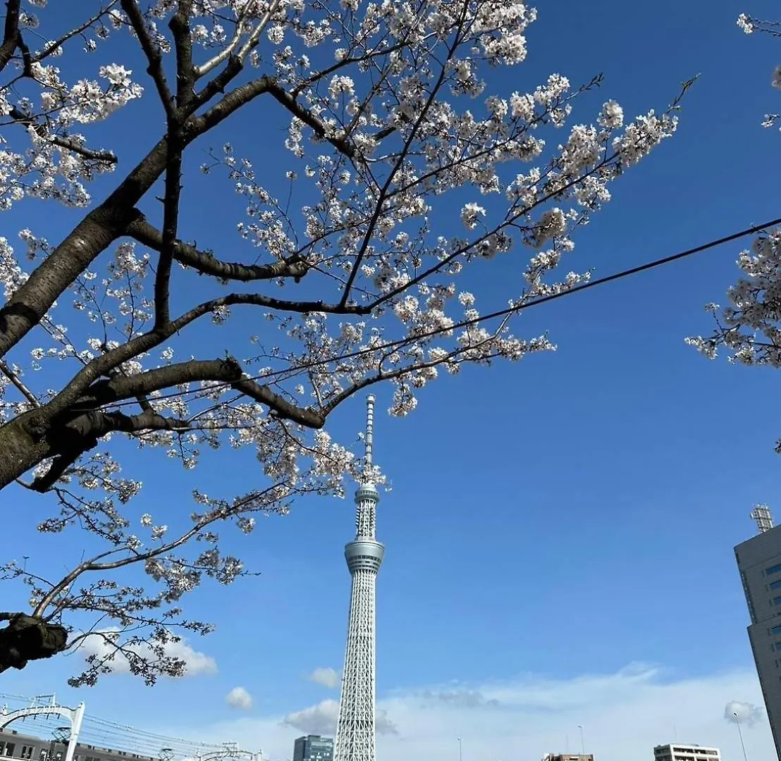 東京雷門ー千の森asakusa Tokyo Konukevi